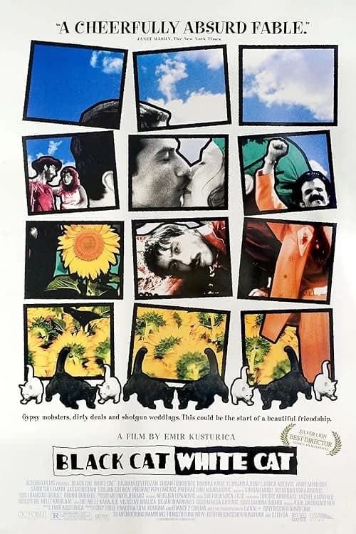Black Cat, White Cat