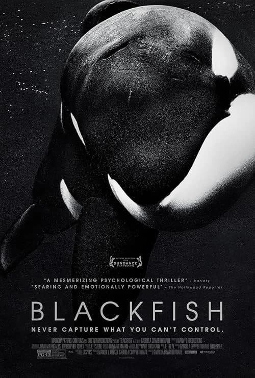 Blackfish film posteri