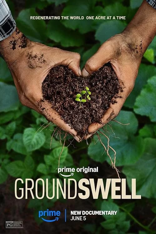 Groundswell film posteri